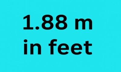 1.88 m in Feet