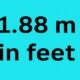 1.88 m in Feet