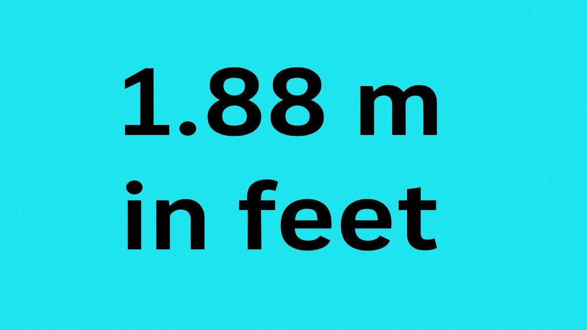 1.88 m in Feet