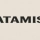 Satamise