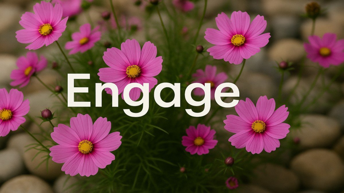 Pebble Cosmos Engage