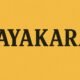 Vayakara